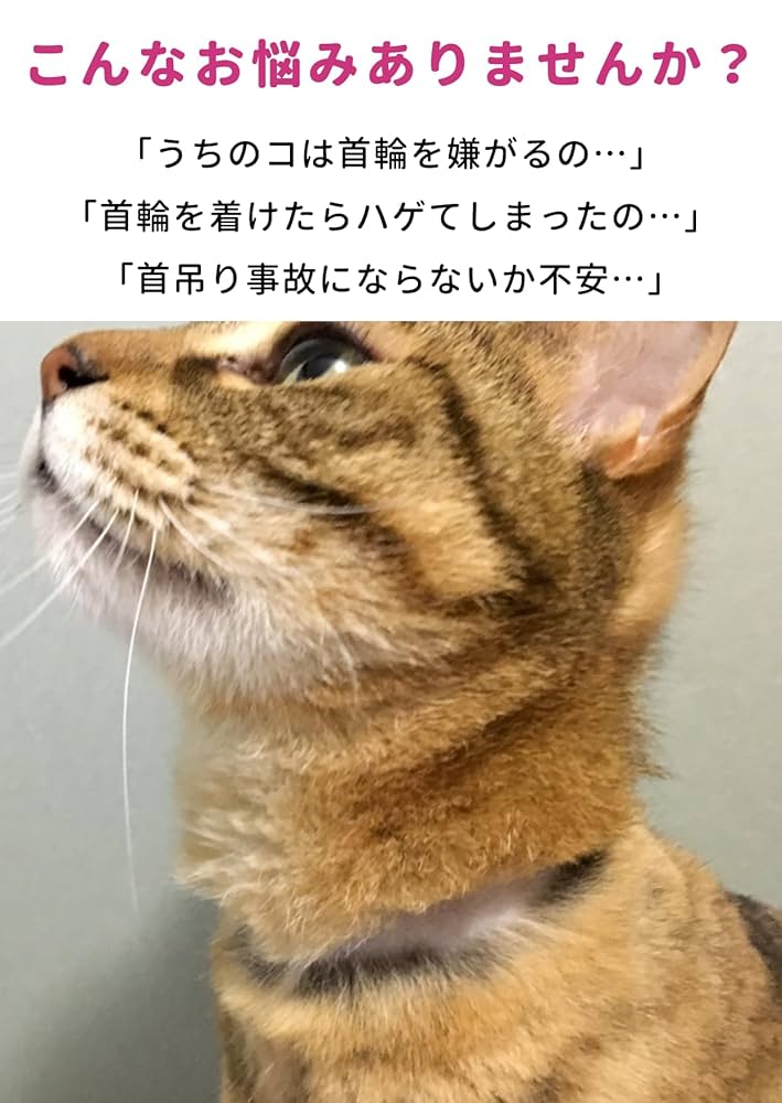 猫　激安！ Amazon | ぽぽねこ グラフィック猫首輪 冬の花 セーフティ